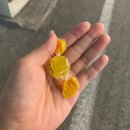 바른중식 이미지