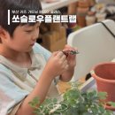 디테일랩 부산직영점 | 아이도 체험 가능한 부산가드닝클래스 쏘슬로우플랜트랩