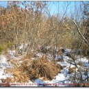 밤원주유소 이미지