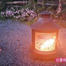 낙천서가 이미지