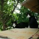 GS25 군산IC점 이미지