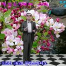 188회 황포돛대님 이미지