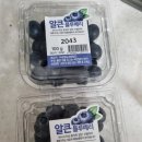 법인다솜푸드 | 크기에 놀라고 맛에 반한 '알큰 블루베리' 내돈내산 후기