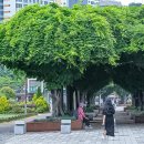 부천중앙공원 이미지