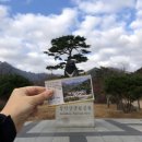 2020.11_늦가을 강릉🌊 + 속초⛰ 여행(end)