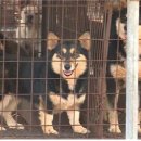 김성일농장 이미지