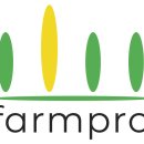 팜플러스 이미지