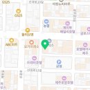 브이아이피성형외과의원