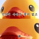 다이소앞 이미지