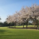 윤스골프클럽 이미지