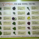 서초(하) | 서초 남부터미널 맛집 시골집 내돈내산 후기