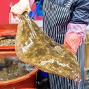 다산유통 이미지