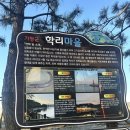기장마사지 에스엠비웰니스 후기