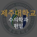 제주대학교 | 제주대학교 수의학과 편입 준비하고 합격한 후기 (제주대)