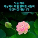 즐거운하루 이미지