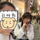 통신나라자판기 | 일본 여행 준비물 체크리스트 공항 교통 결제 수하물 출국 전 확인