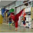 태풍태권도 이미지