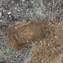 성불나라 이미지