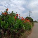 상모리-9 이미지