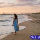 PLAGE 이미지