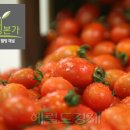 웰빙쇼핑몰 이미지