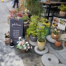 그린운동화 빨래방 이미지