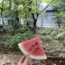 사슴집 이미지