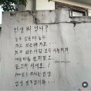 순천평화병원 | 8월의 나는,