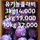 유기농 콜라비 긴급 반값세일합니다. 이미지
