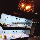 로열 퍼피샵 이미지