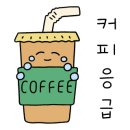 두두네스트 이미지
