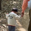 지혜농장 | [집밥] 표고버섯 오일 절임 만들기