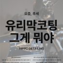 히포디테일링 이미지