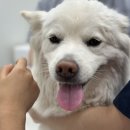 위런한방재활동물병원