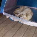 진호농장 이미지