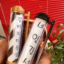 살롱드 댕댕 이미지