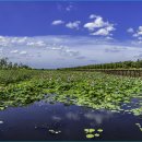 맥도생태공원 이미지