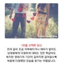 요거해 이미지