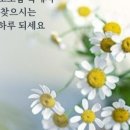 잘차려진 바다 이미지