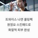 나연환경 | 트와이스 나연 쿨링팩 원정요 스킨패드 화잘먹 피부 완성