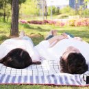 청초호유원지(북측) 이미지