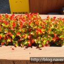 사철회관 이미지