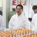 돌고래농장 이미지