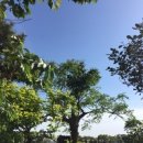 소도락하우스 이미지