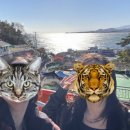 등대길26 이미지