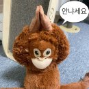 수역이3거리~성사중학교 | AIDA2 천안아산 비프리 프리다이빙 두 번째 수업 후기ㅣ수원 스포츠아일랜드