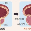 민메디컬