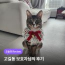 이웃의 따뜻한 정을 느낄 수 있었어요![우주펫 돌봄 품앗이 실제 후기-강서구 고길동 보호자님]