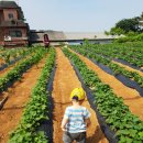 지한농장 이미지