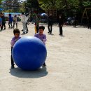 관저초등학교 이미지